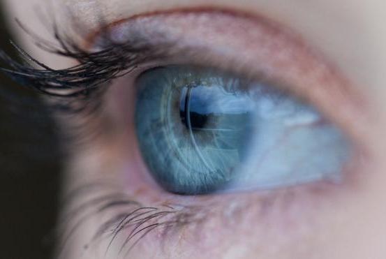 Nueva terapia génica trata trastornos oculares hereditarios en estudio con animales.