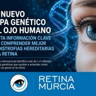 Un nuevo mapa genético del ojo humano aporta información clave para comprender mejor las distrofias hereditarias de la retina