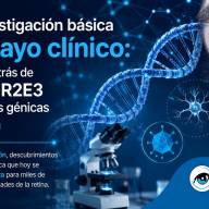 De la investigación básica al ensayo clínico: la historia que hay detrás de RORA, NR2E3 y las terapias génicas de Ocugen