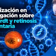 Actualización en investigación sobre Stargardt y retinosis pigmentaria